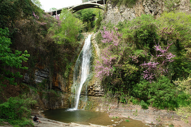 آبشار باغ گیاه شناسی