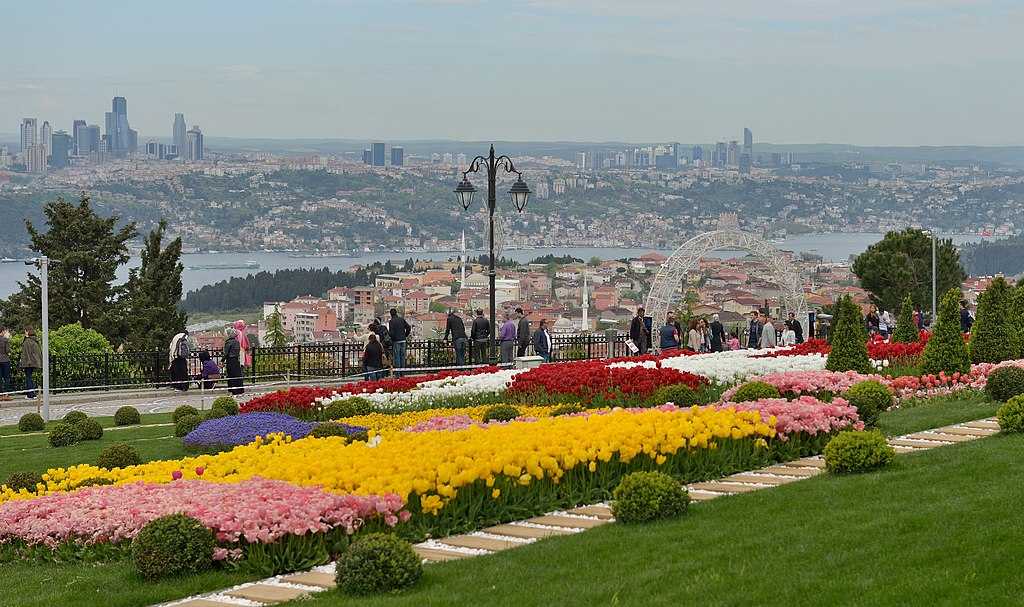 تپه کامالیکا استانبول