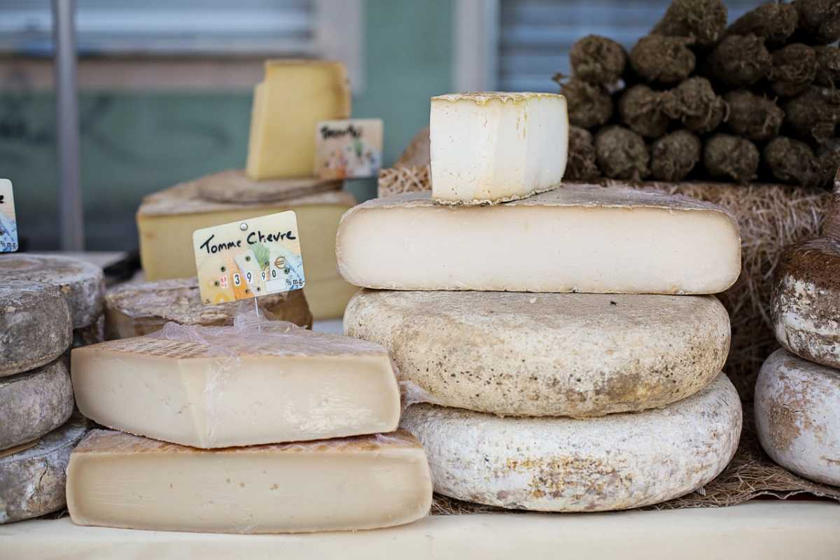 پنیر سوغاتی در پاریس